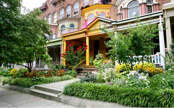 A brightly painted home in the Charles Village Neighborhood of Baltimore - Arianne Teeple